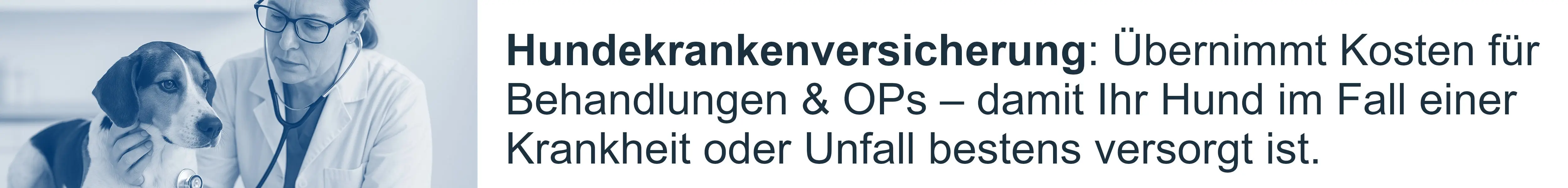 Hundehalterhaftpflicht schützt Sie vor Haftungsschäden – die Hundekrankenversicherung vor Tierarztkosten Hundekrankenversicherung: Übernimmt Kosten für Behandlungen & OPs – damit Ihr Hund im Fall einer Krankheit oder Unfall bestens versorgt ist