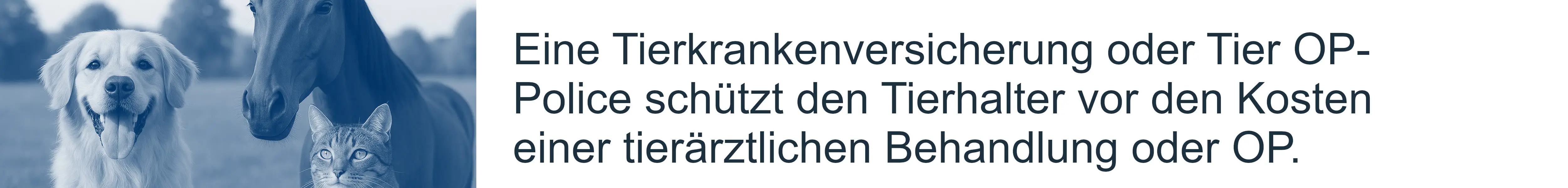 Tierkrankenversicherung und Haftpflicht – wichtige Absicherung für verantwortungsvolle Tierhalter Versicherungsschutz für Tierhalter – Tierhalterhaftpflicht und Tierkrankenversicherung im Überblick